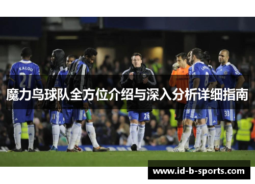 魔力鸟球队全方位介绍与深入分析详细指南